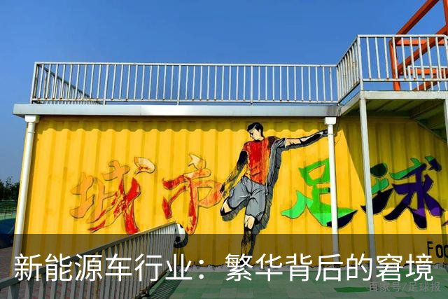 新能源车行业：繁华背后的窘境