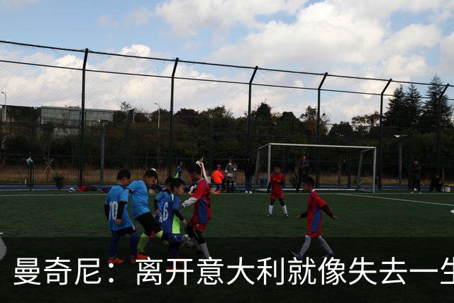 曼奇尼：离开意大利就像失去一生挚爱 恳请球迷原谅
